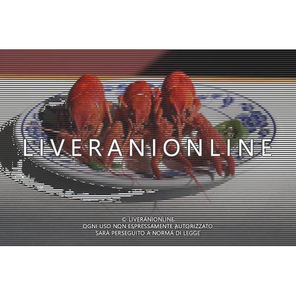 ARCHIVIO ANIMALI ALDO LIVERANI S A S NELLA FOTO ASTICI AGENZIA ALDO LIVERANI