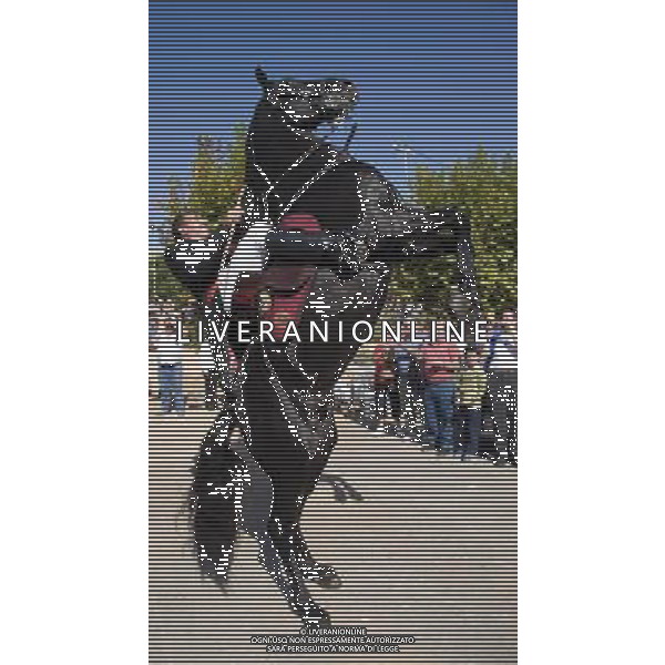 ARCHIVIO ANIMALI ALDO LIVERANI S A S NELLA FOTO IL CAVALLO AGENZIA ALDO LIVERANI