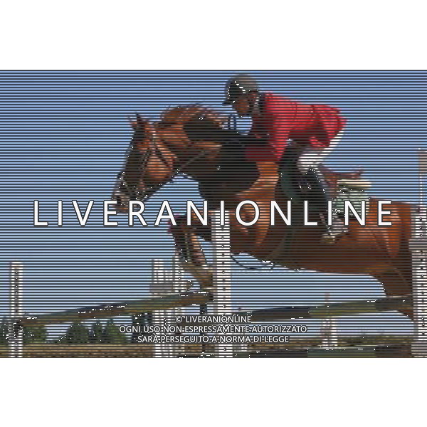 ARCHIVIO DIGITALE ALDO LIVERANI NELLA FOTO IL CAVALLO AGENZIA ALDO LIVERANI