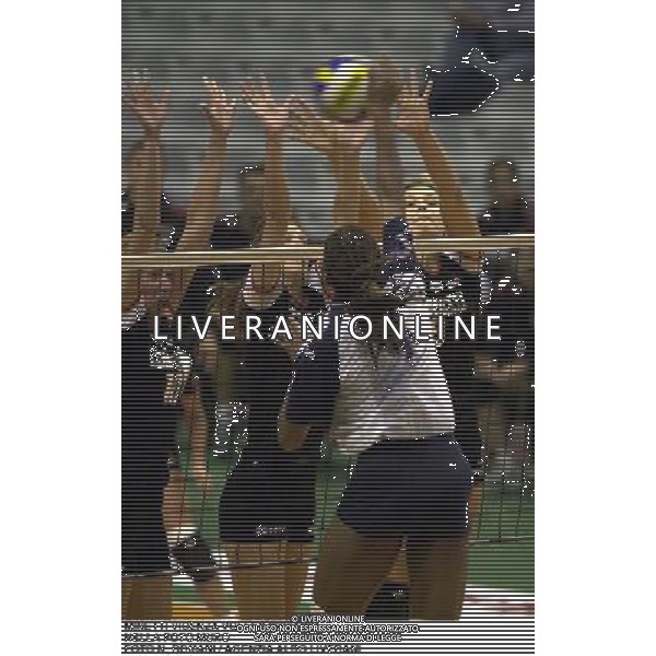 MINETTI VICENZA VOLLEY 2000/2001 NELLA FOTO MURO FOTO N. ROMANI / AGENZIA ALDO LIVERANI
