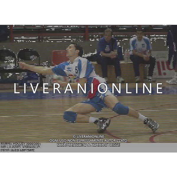 PARMA VOLLEY 2000/2001 NELLA FOTO VERMIGLIO FOTO NICOLA ROMANI -AGENZIA ALDO LIVERANI