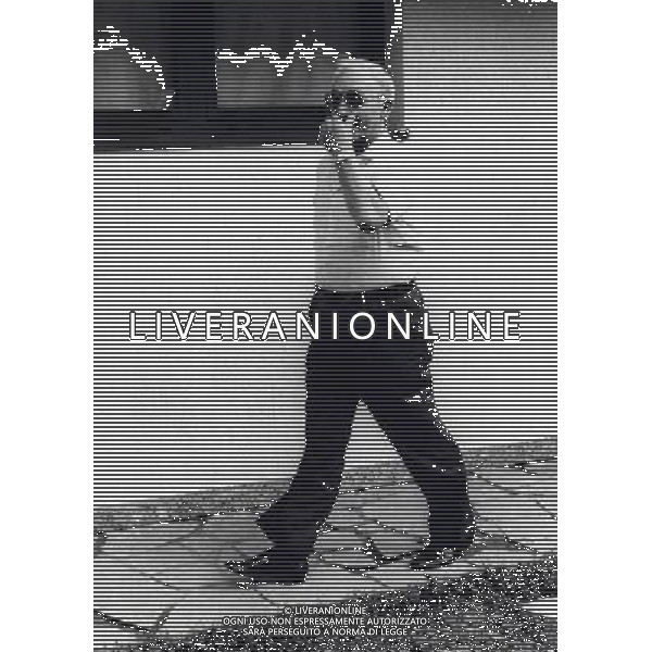 Domenico Luzzara archivio Ag.Aldo Liverani