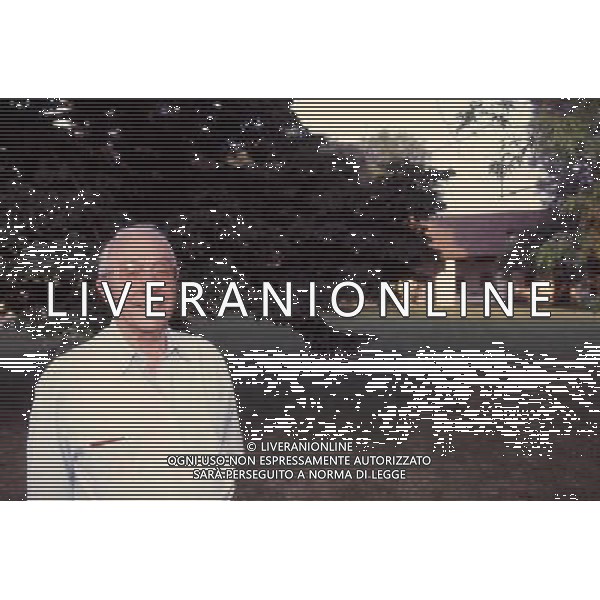 Domenico Luzzara archivio Ag.Aldo Liverani