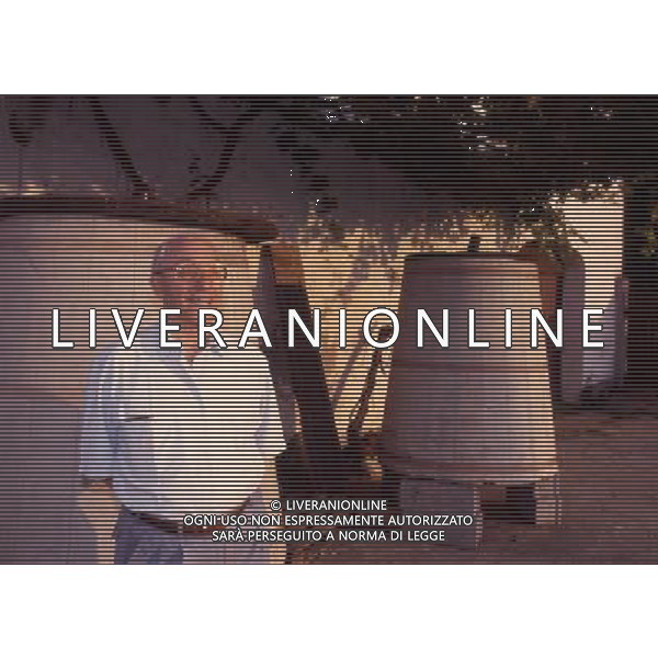 Domenico Luzzara archivio Ag.Aldo Liverani