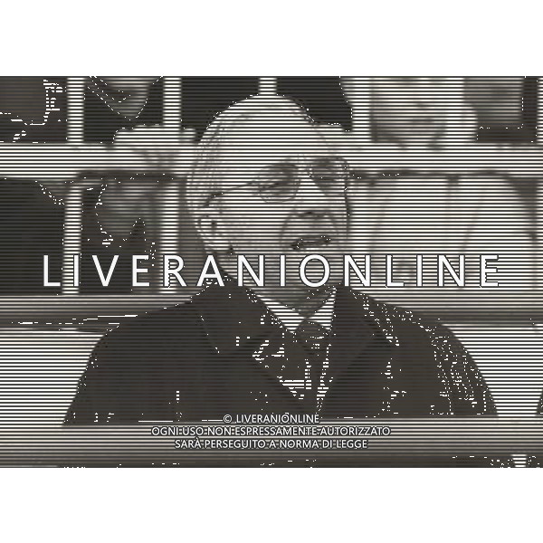 Domenico Luzzara archivio Ag.Aldo Liverani