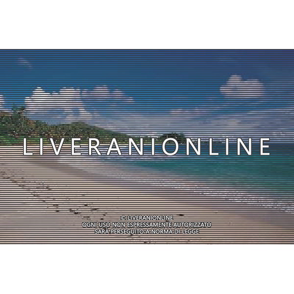 AGENZIA ALDO LIVERANI S A S 2006 NELLA FOTO OCEANO TROPICANO AGENZIA ALDO LIVERANI