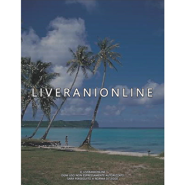 AGENZIA ALDO LIVERANI S A S 2006 SPIAGGIA TROPICALE NELLA FOTO SPIAGGIA TROPICALE AGENZIA ALDO LIVERANI