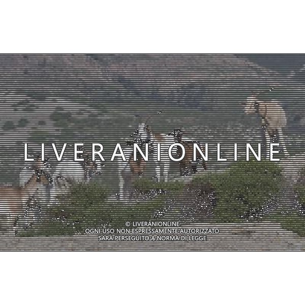 ARCHIVIO DIGITALE ALDO LIVERANI NELLA FOTO CAPRETTE DI MONTAGNA AGENZIA ALDO LIVERANI