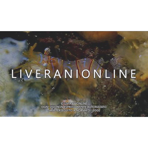 ARCHIVIO DIGITALE ALDO LIVERANI NELLA FOTO IL GAMBERO MARINO AGENZIA ALDO LIVERANI