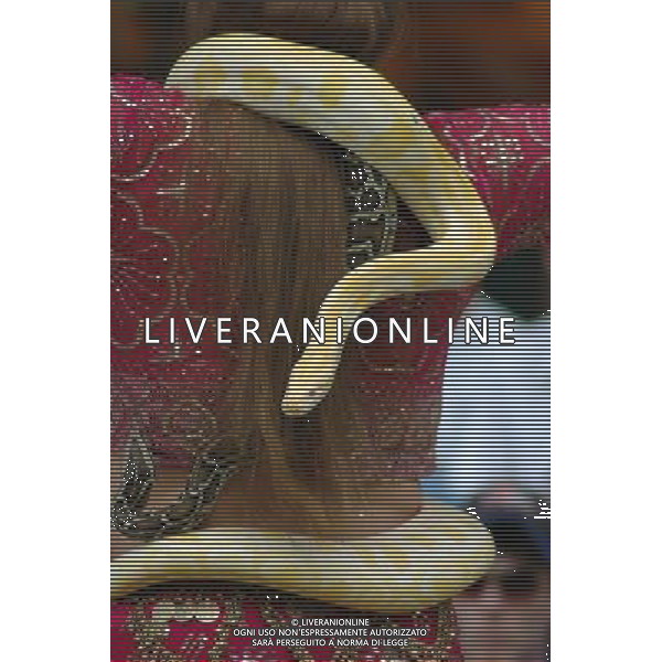ARCHIVIO DIGITALE ALDO LIVERANI NELLA FOTO IL PITONE AGENZIA ALDO LIVERANI