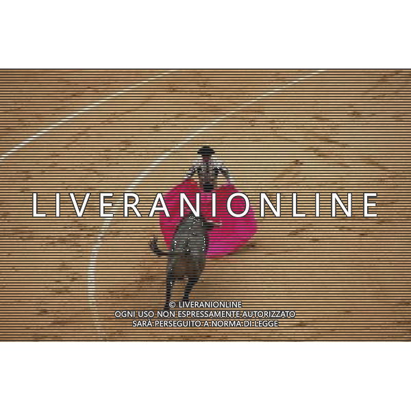 ARCHIVIO DIGITALE ALDO LIVERANI NELLA FOTO TORO - TORERO - LA CORRIDA AGENZIA ALDO LIVERANI