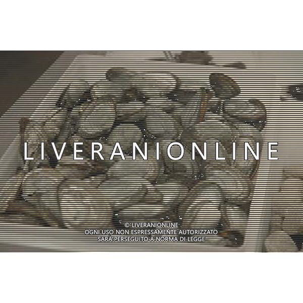 ARCHIVIO DIGITALE ALDO LIVERANI NELLA FOTO LE VONGOLE AGENZIA ALDO LIVERANI