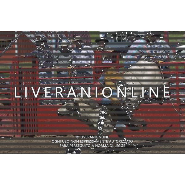 ARCHIVIO DIGITALE ALDO LIVERANI NELLA FOTO scene di un rodeo AGENZIA ALDO LIVERANI