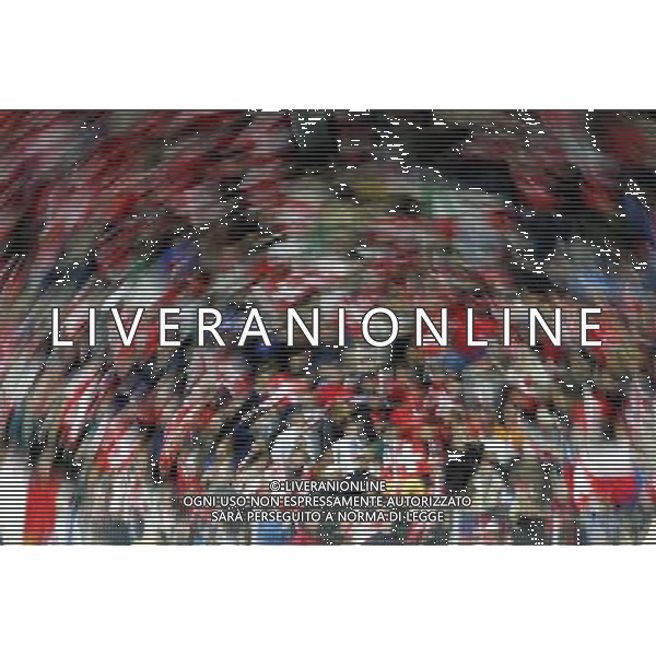 Ginevra (CH) 31-05-2006 svizzera-italia 1:1 nella foto tifo svizzera ph marco luzzani/ag aldo liverani s.a.s.