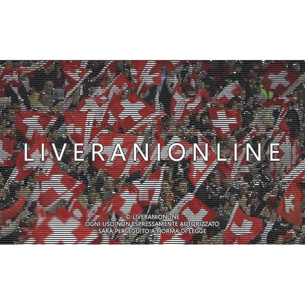 Ginevra (CH) 31-05-2006 svizzera-italia 1:1 nella foto tifo svizzera ph marco luzzani/ag aldo liverani s.a.s.