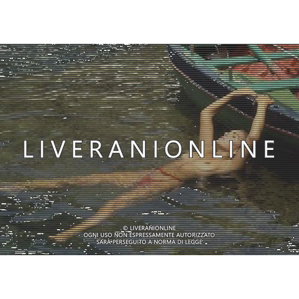 ARCHIVIO GIOVANNI LIVERANI RETROSPETTIVE NELLA FOTO ELEONORA VALLONE AGENZIA ALDO LIVERANI