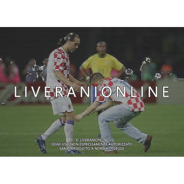 COPPA DEL MONDO DI CALCIO GERMANIA 2006 3-6-06 BRASILE - CROAZIA NELLA FOTO CAVALLO PAZZO PH: LUZZANI/LIVERANI 