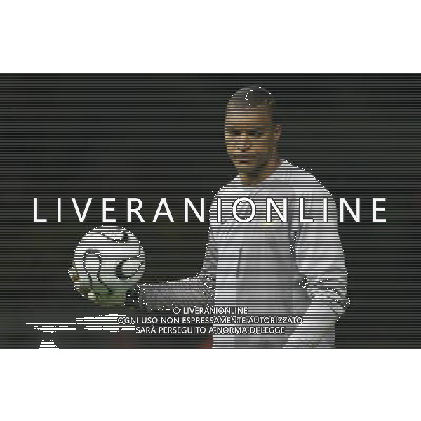 Berlino (ger) 13-06-2006 World Cup Germany 2006 brasile-croazia 1 : 0 nella foto dida nelson ph marco luzzani/ag aldo liverani s.a.s.