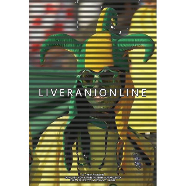Berlino (ger) 13-06-2006 World Cup Germany 2006 brasile-croazia 1 :0 nella foto tifo brasile ph marco luzzani/ag aldo liverani s.a.s.