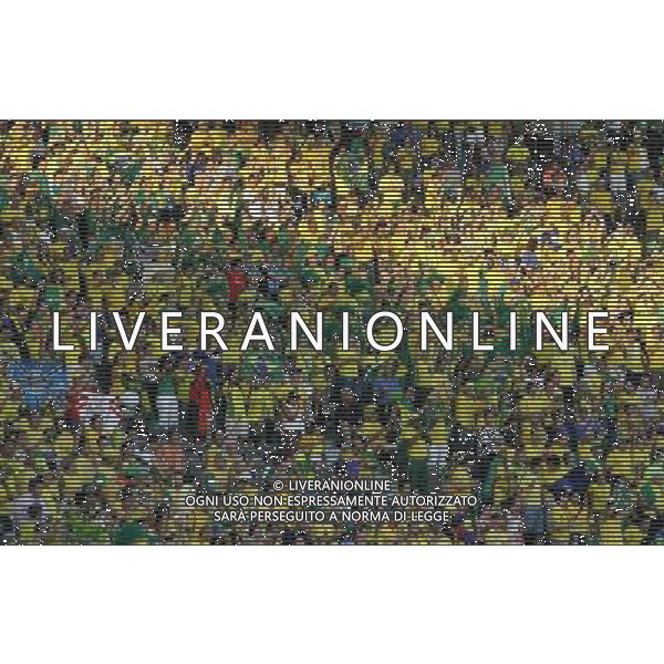 Berlino (ger) 13-06-2006 World Cup Germany 2006 brasile-croazia 1 :0 nella foto tifo brasile ph marco luzzani/ag aldo liverani s.a.s.