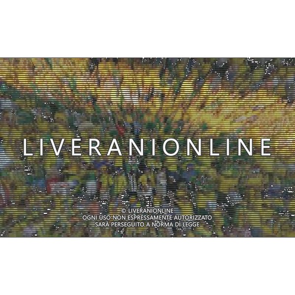 Berlino (ger) 13-06-2006 World Cup Germany 2006 brasile-croazia 1 :0 nella foto tifo brasile ph marco luzzani/ag aldo liverani s.a.s.