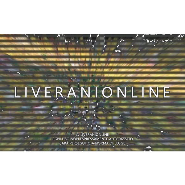 Berlino (ger) 13-06-2006 World Cup Germany 2006 brasile-croazia 1 :0 nella foto tifo brasile ph marco luzzani/ag aldo liverani s.a.s.