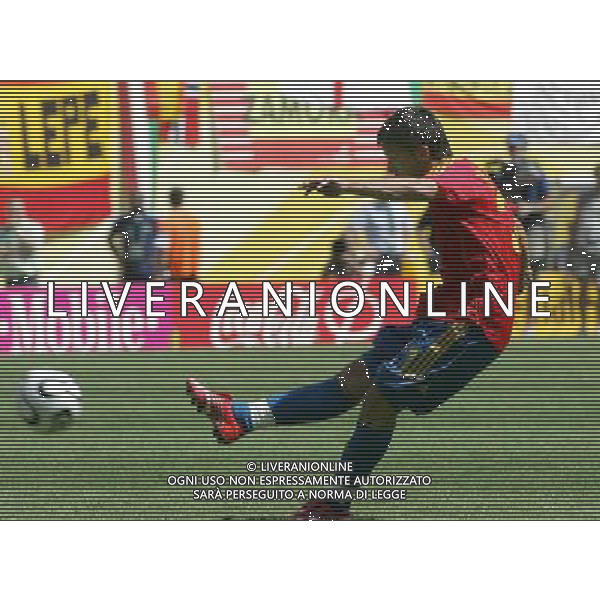 World Cup Germany 2006 14-06-2006 spagna ukraina 4:0 nella foto gol villa ph marco luzzani/ag aldo liverani s.a.s.