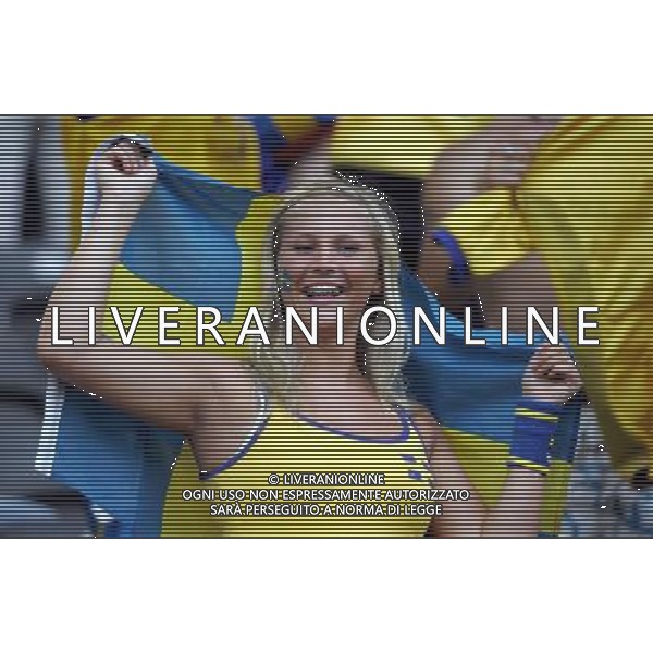 germania mondiali 2006 svezia-paraguay nella foto:tifo della svezia ph luzzani/ag aldo liverani 