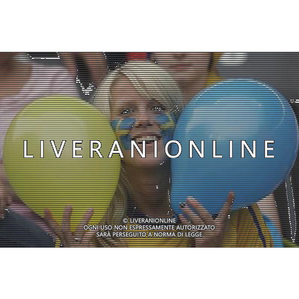 germania mondiali 2006 svezia-paraguay nella foto:tifo della svezia ph luzzani/ag aldo liverani 