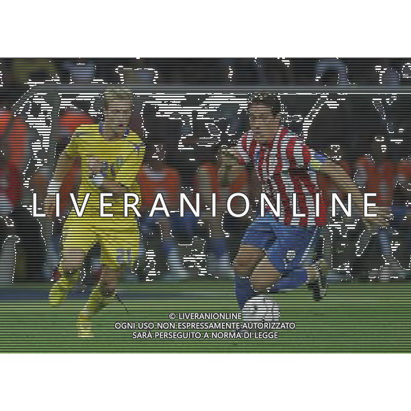 germania mondiali 2006 svezia-paraguay nella foto:gamarrae wilhelmsson ph luzzani/ag aldo liverani 