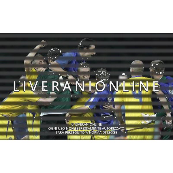 germania mondiali 2006 svezia-paraguay nella foto:esultanza svezia a fine gara ph luzzani/ag aldo liverani 