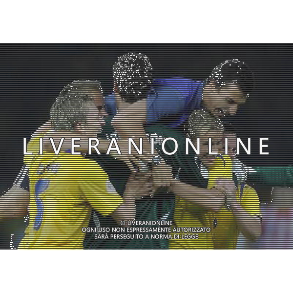 germania mondiali 2006 svezia-paraguay nella foto:esultanza svezia a fine gara ph luzzani/ag aldo liverani 