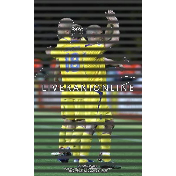 germania mondiali 2006 svezia-paraguay nella foto:esultanza ljungberg a fine gara ph luzzani/ag aldo liverani 