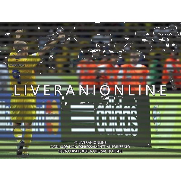 germania mondiali 2006 svezia-paraguay nella foto:esultanza ljungberg a fine gara ph luzzani/ag aldo liverani 