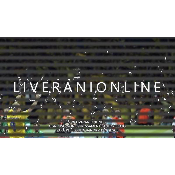 germania mondiali 2006 svezia-paraguay nella foto:esultanza ljungberg a fine gara ph luzzani/ag aldo liverani 