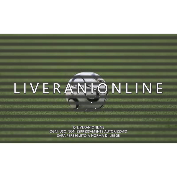 Lipsia (GER) 14-06-2006 World Cup Germany 2006 spagna-ucraina 4:0 nella foto pallone ph Marco Luzzani/ag aldo liverani s.a.s.