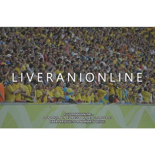 Berlino (GER) 15-06-2006 World Cup Germany 2006 svezia-paraguay 1:0 nella foto tifo svezia ph marco luzzani/ag aldo liverani s.a.s.