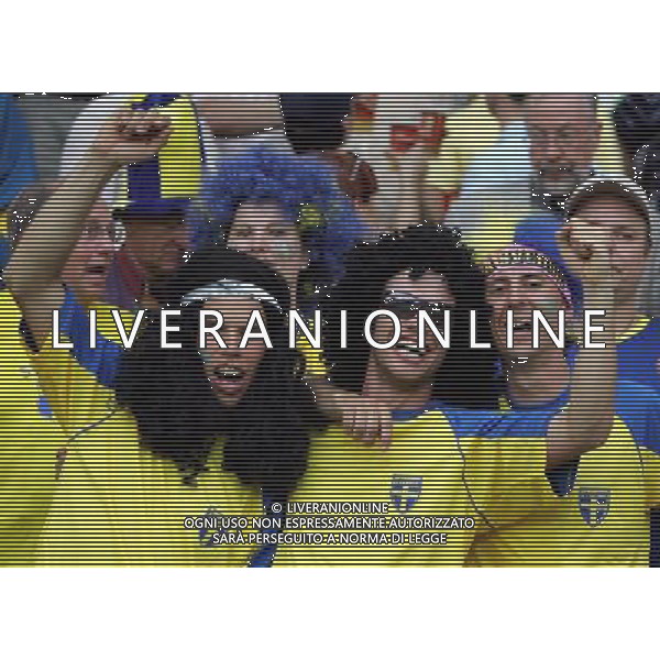 Berlino (GER) 15-06-2006 World Cup Germany 2006 svezia-paraguay 1:0 nella foto tifo svezia ph marco luzzani/ag aldo liverani s.a.s.