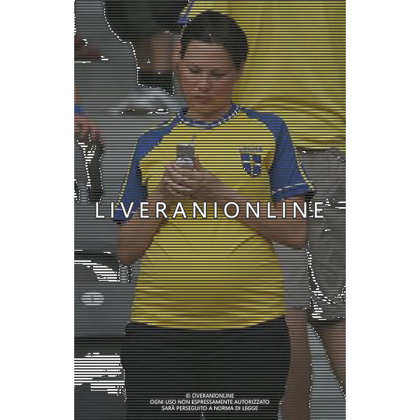 Berlino (GER) 15-06-2006 World Cup Germany 2006 svezia-paraguay 1:0 nella foto tifo svezia ph marco luzzani/ag aldo liverani s.a.s.