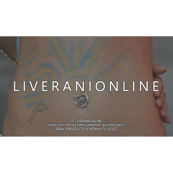 Berlino (GER) 15-06-2006 World Cup Germany 2006 svezia-paraguay 1:0 nella foto tifo svezia ph marco luzzani/ag aldo liverani s.a.s.