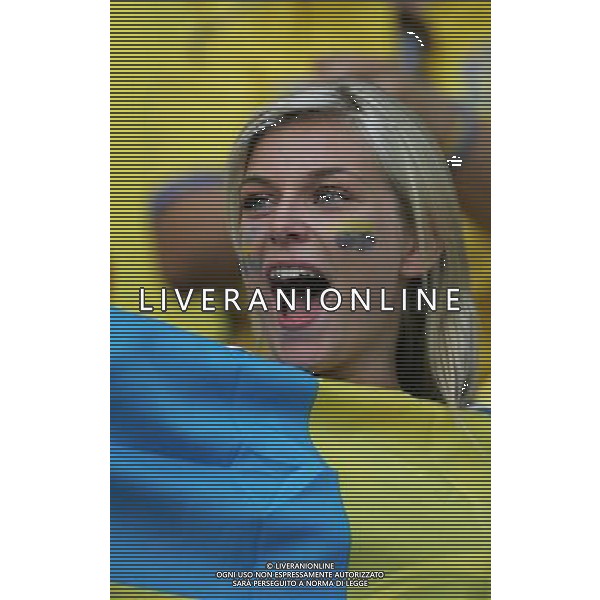Berlino (GER) 15-06-2006 World Cup Germany 2006 svezia-paraguay 1:0 nella foto tifo svezia ph marco luzzani/ag aldo liverani s.a.s.