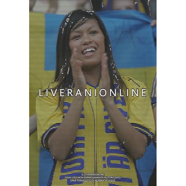 Berlino (GER) 15-06-2006 World Cup Germany 2006 svezia-paraguay 1:0 nella foto tifo svezia ph marco luzzani/ag aldo liverani s.a.s.