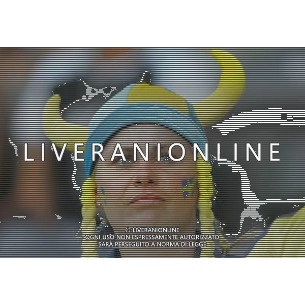 Berlino (GER) 15-06-2006 World Cup Germany 2006 svezia-paraguay 1:0 nella foto tifo svezia ph marco luzzani/ag aldo liverani s.a.s.