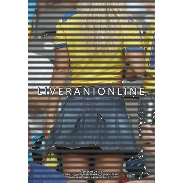 Berlino (GER) 15-06-2006 World Cup Germany 2006 svezia-paraguay 1:0 nella foto tifo svezia ph marco luzzani/ag aldo liverani s.a.s.