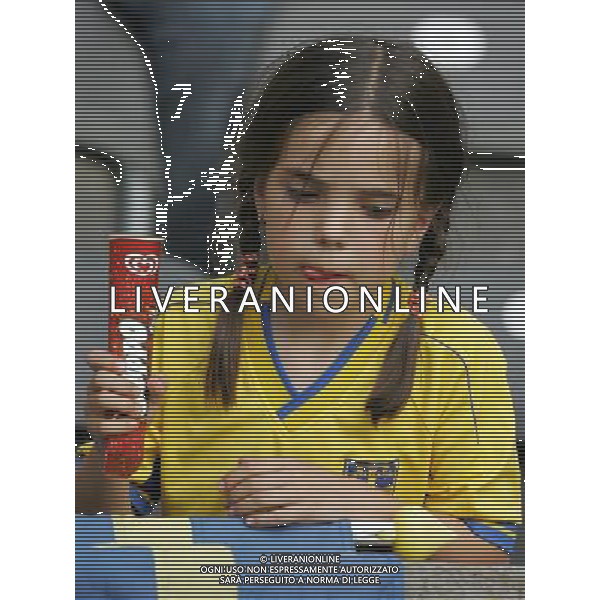 Berlino (GER) 15-06-2006 World Cup Germany 2006 svezia-paraguay 1:0 nella foto tifo svezia ph marco luzzani/ag aldo liverani s.a.s.