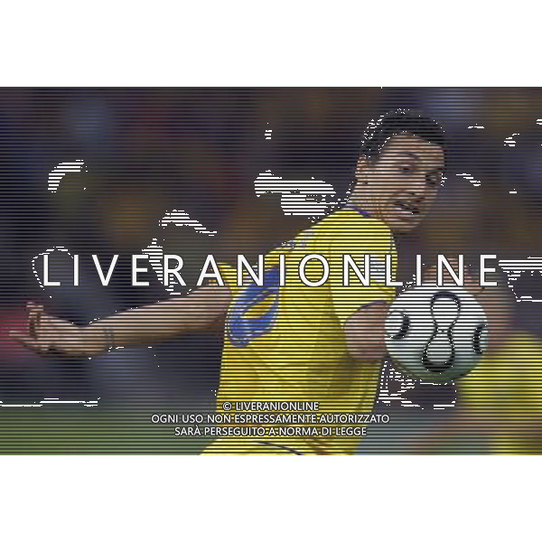 Berlino 1/06/2006 World Cup Germany 2006 svezia-paraguay nella foto ibrahimovic zlatan ph marco luzzani/aga aldo liverani s.a.s.