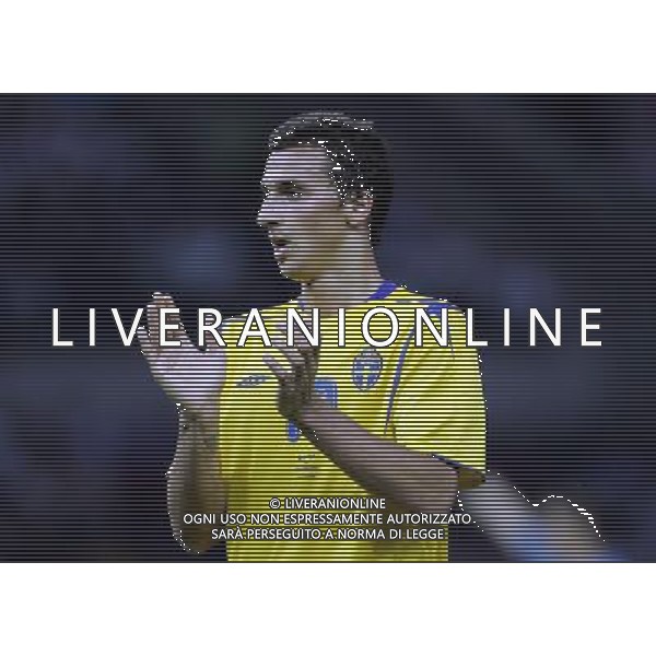 Berlino 1/06/2006 World Cup Germany 2006 svezia-paraguay nella foto ibrahimovic zlatan ph marco luzzani/aga aldo liverani s.a.s.