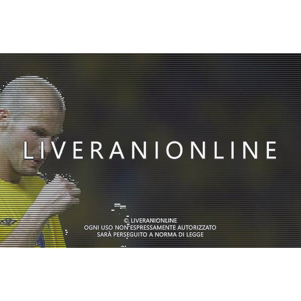 Berlino 1/06/2006 World Cup Germany 2006 svezia-paraguay nella foto ljungberg freddie ph marco luzzani/aga aldo liverani s.a.s.