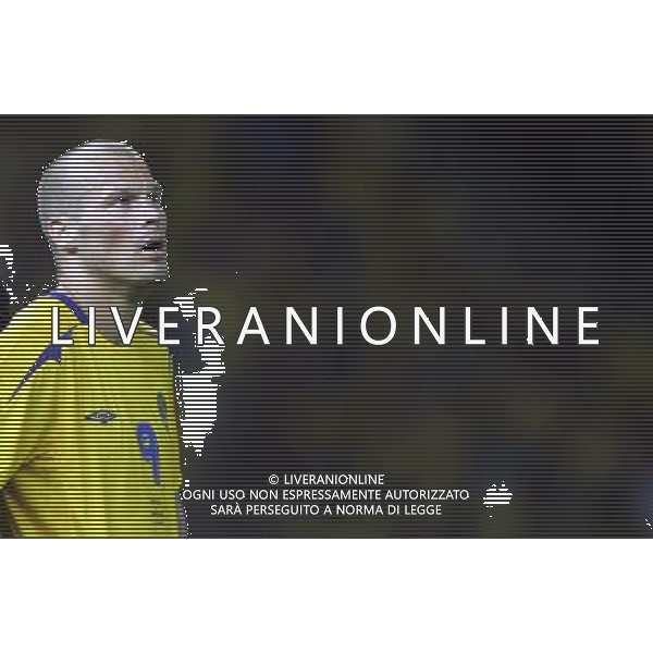 Berlino 1/06/2006 World Cup Germany 2006 svezia-paraguay nella foto ljungberg freddie ph marco luzzani/aga aldo liverani s.a.s.