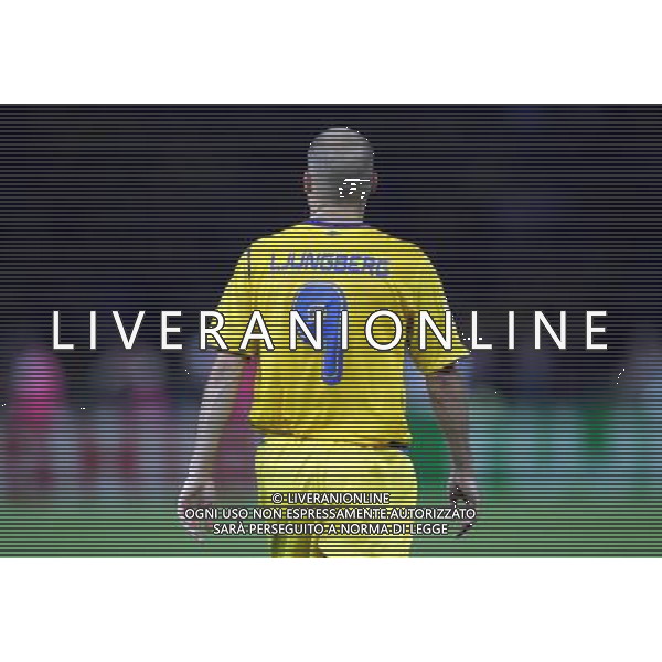 Berlino 1/06/2006 World Cup Germany 2006 svezia-paraguay nella foto ljungberg freddie ph marco luzzani/aga aldo liverani s.a.s.